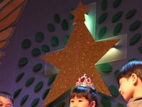 Y6 PERFORMANCE